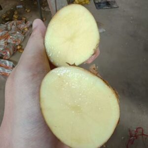 Wholesale Price Fresh Potatoes From Africa Supplier