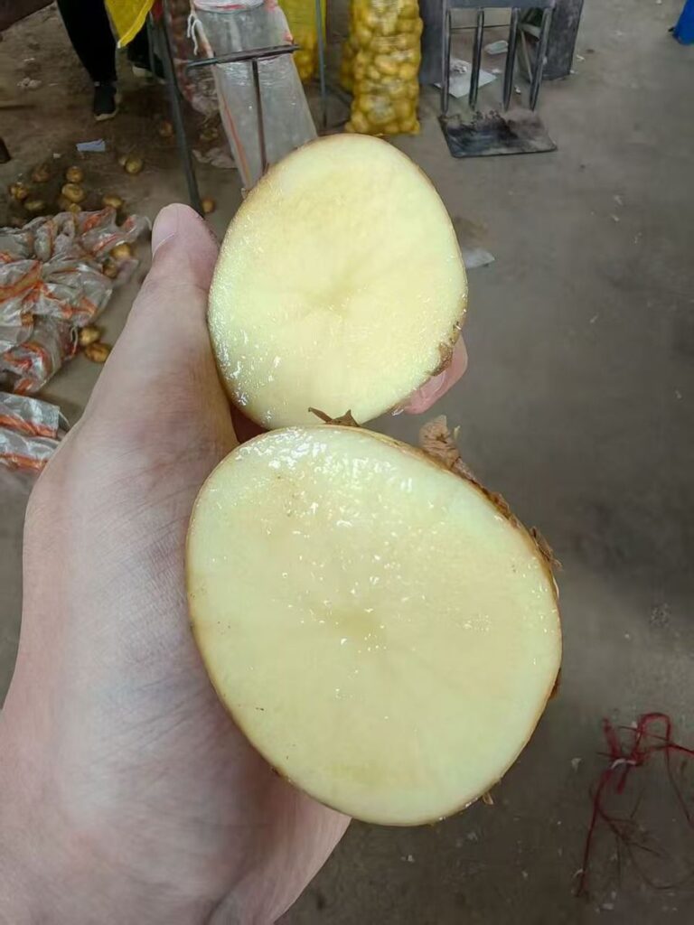 Wholesale Price Fresh Potatoes From Africa Supplier