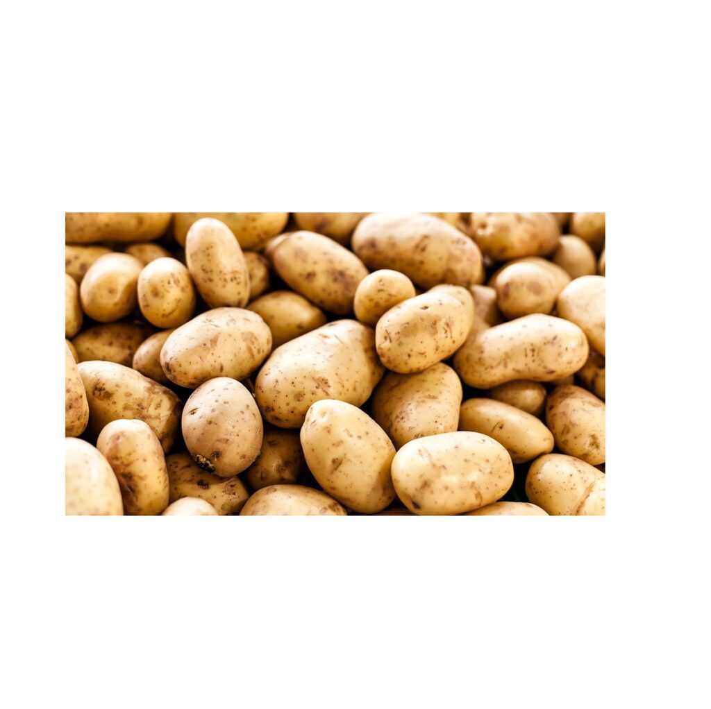 High Standard Fresh Potatoes Spunta Diamond Nicola For Sale Natural Farm Potatoes Export Quality Bulk Supply For Gulf Countries