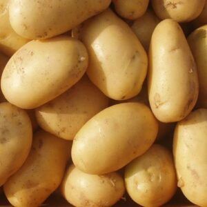 A Grade Brown Irish Potatoes Fresh Sweet Tasting Potatoes