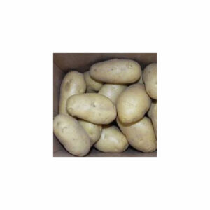 Export Bulk Fried Brands Sweet Frozen French Fries Potatoes in Price Fresh Harvest Holland Fresh Potato Fresh Potatoes for Sale