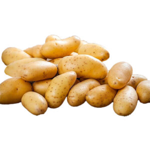 Wholesale Premium Fresh Potatoes from Africa