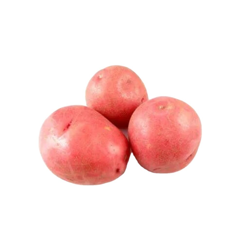 Red a Grade Lady Rosetta Potato High Quality Fresh Red Potato From India in Cheap Cost Price