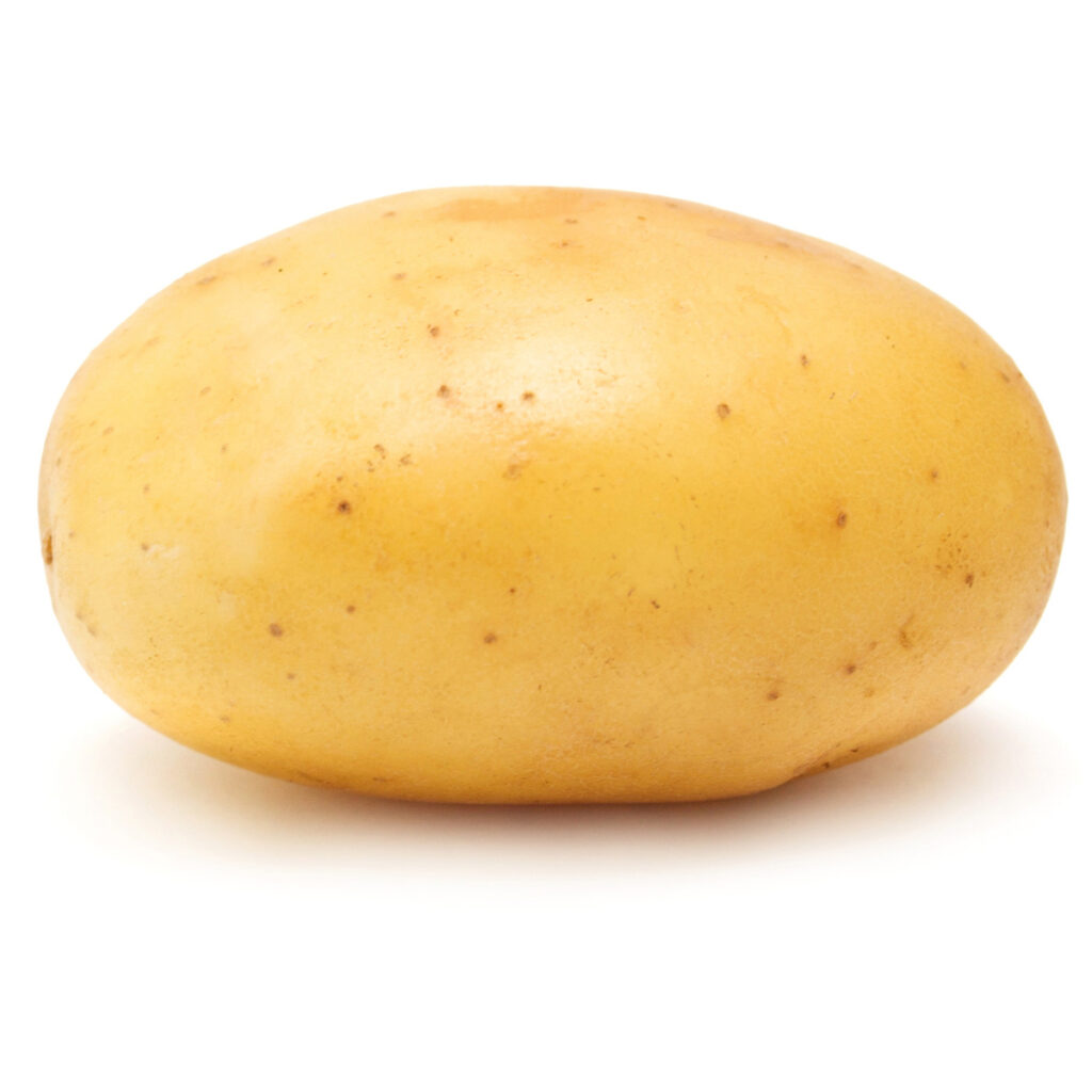 OEM High Quality Organic Fresh Potatoes Africa Export Oriented 1st Grade 100% Maturity 7.62 Cm Year 1 Container 10kg/20kg