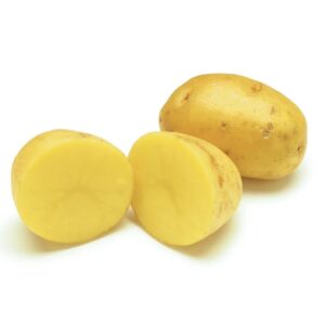 100% Fresh Professional High Grade Potato Exporter Factory Price for Wholesale High Quality Bulk Potatoes Ready Ship