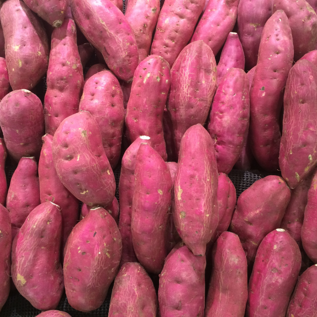 High Quality Fresh Sweet Potato New Season Export Grade Supplier