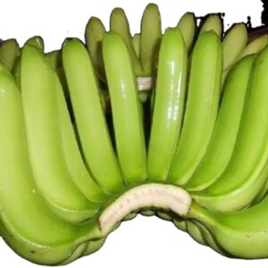 Sweet and Nutritious Fresh Fruit Cavendish Banana for Sale From Africa
