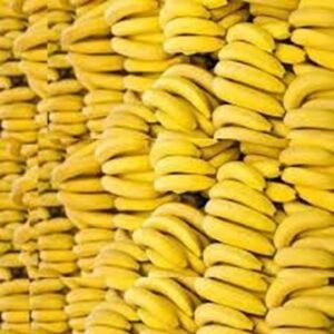 Nature's Perfect Snack - Cavendish Bananas for Multi-Purpose Usage for Sale