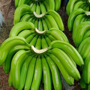 Natural Fresh Green CAVENDISH BANANA for the Cheapest Price Free Tax From Africa- for South Korea Market