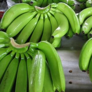 Hot Selling Organic Fresh Green Cavendish Bananas