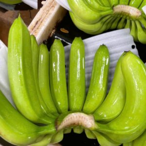 Cavendish Banana Price Advantage, Competitive Cavendish Banana for UAE Importers, Fresh Farm Cavendish Banana