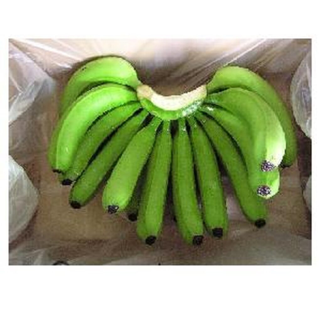 TOP QUALITY GREEN CAVENDISH BANANAS WITH GOOD MARKET PRICE
