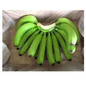 TOP QUALITY GREEN CAVENDISH BANANAS WITH GOOD MARKET PRICE