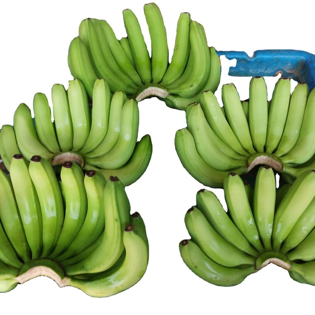 PREMIUM BANANAS