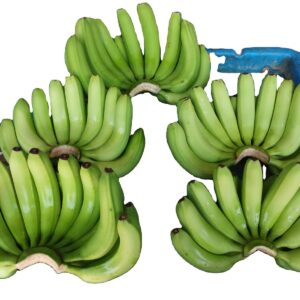 PREMIUM BANANAS