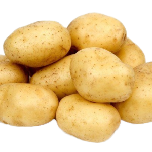 Wholesale Chinese Newest Crop Yellow Fresh Potato High Quality Holland Seed Potato From Nederland in Bulk
