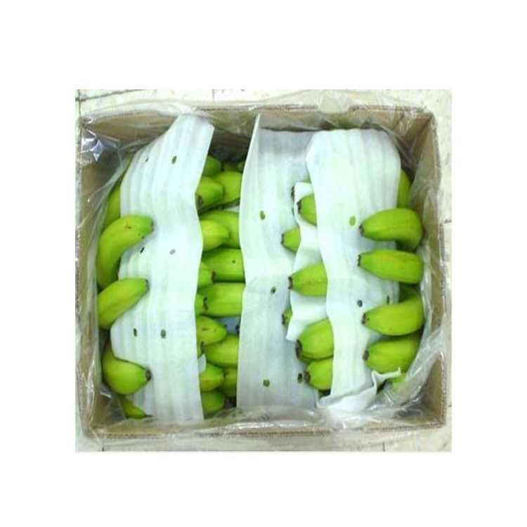 Reputed Seller Offers Market Price Fresh Cavendish Bananas Common Green Plantain Cultivation Variety