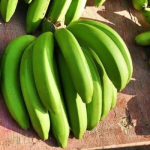 Best Quality Organic Cavendish Banana Fresh Green Wholesome Price Direct From Farm to Table