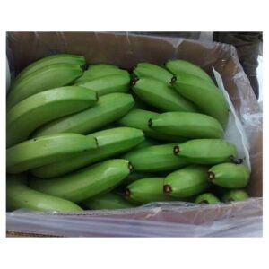 Cavendish High Quality Tropical & Sub-Tropical Banana Green Fresh Grade a 20kg for Sale