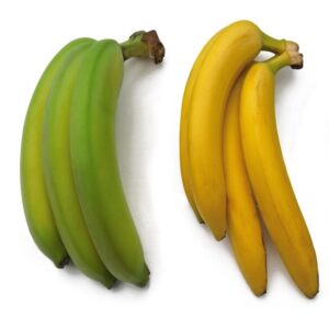 Cavendish Banana - Fresh Green Banana - Fresh Fruit and Vegetables From Africa With Best Price