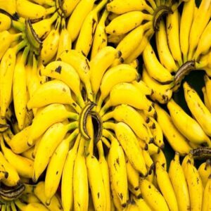 Premium Fresh Bananas Sweet and Delicious Bananas for Baking Smoothies Snacking and Bulk Wholesale Distribution for Export