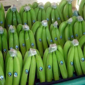 Fresh First Grade Cavendish Bananas 2kg from Africa