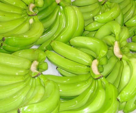 Whole Fresh Sweet Cavendish Bananas-Grade a Green Color ISO Certified French Origin 20kg for Sale