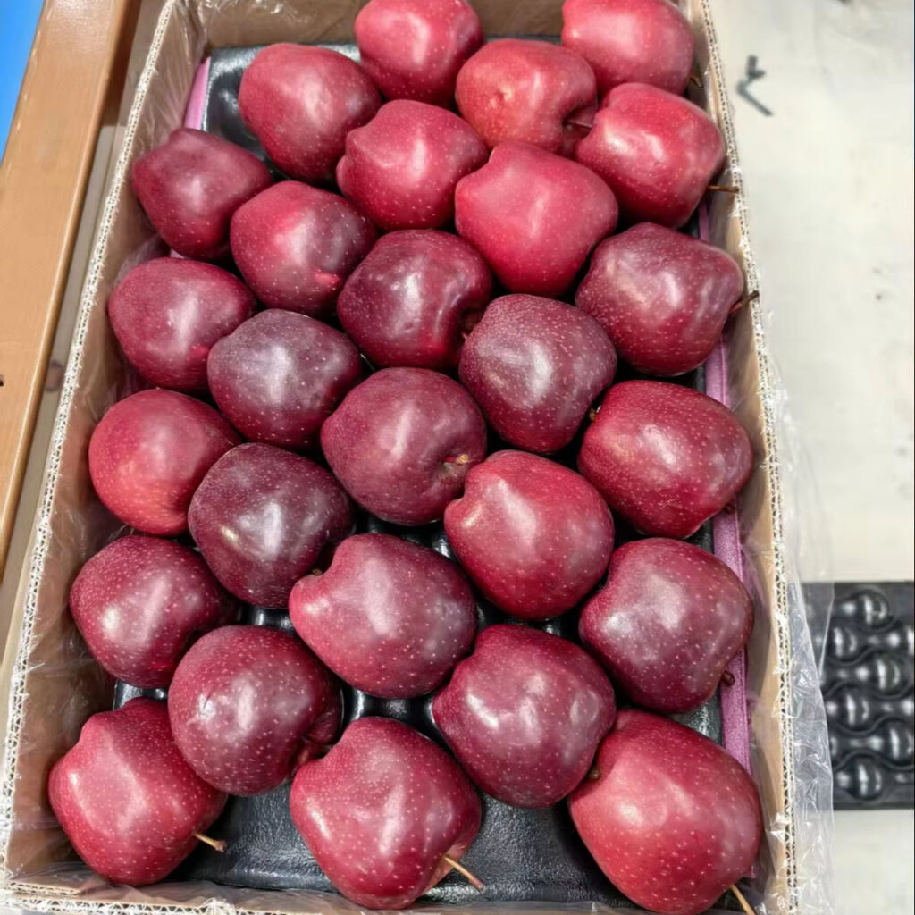 Organic Chinese Red Fuji Apples Fresh and Crisp with High Sugar and Royal Fruit Gala Taste Delicious Sweet Apples
