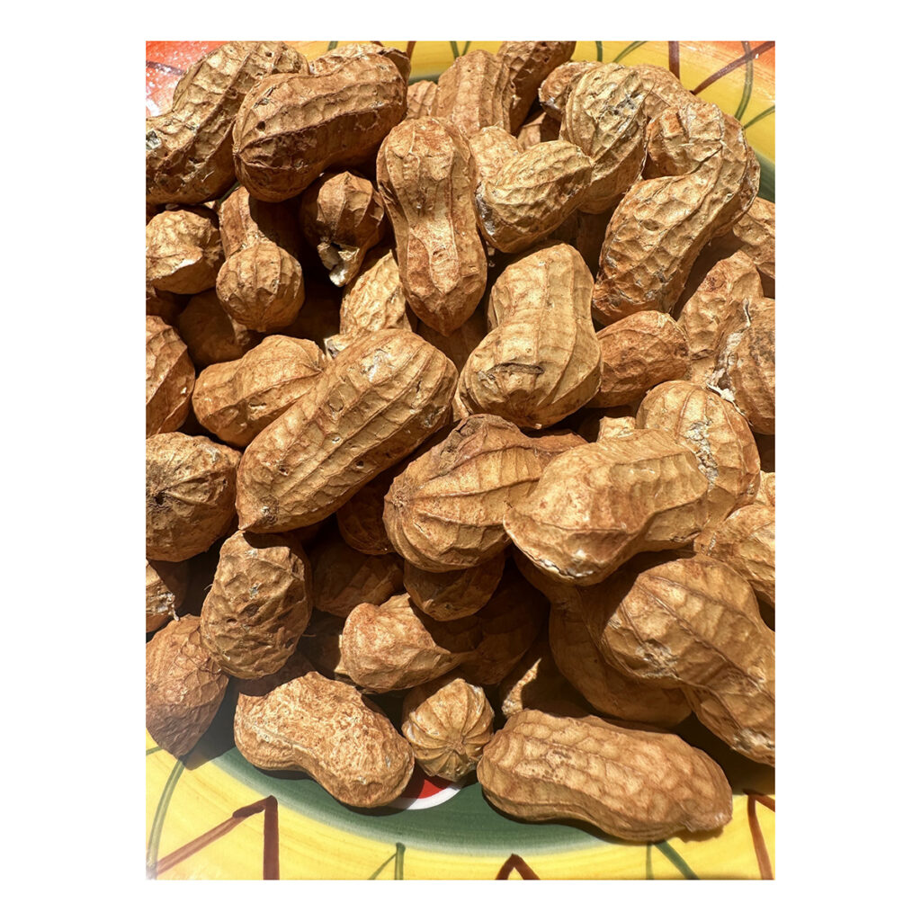 Raw Peanut available at discount price for bulk supply and wholesale trade