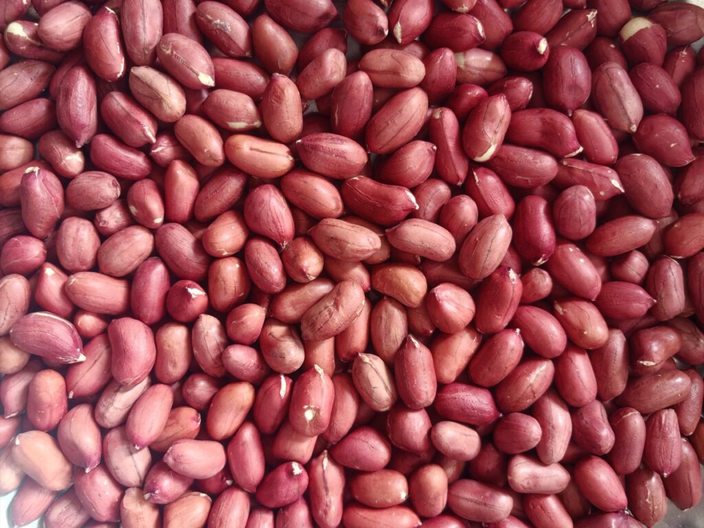 premium quality 100 percent natural organic peanuts kernels k