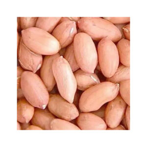 High Quality Organic Roasted Raw Java Peanuts Fresh Blanched Peanut Kernels Bold Organic Blanched Red Peanuts for Snacks