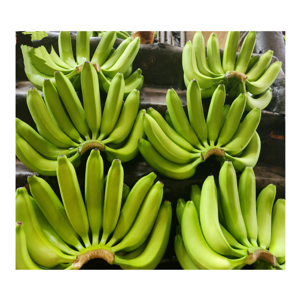 Ripe Cavendish Banana Fresh Sweet Yellow Fruit Ready to Eat for Local Market and Immediate Consumption Bulk