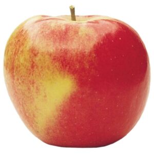 Clean Wholesale Chinese Fresh Fuji Apple Organic Red & Green Gala Apples Sweet and Delicious Variety