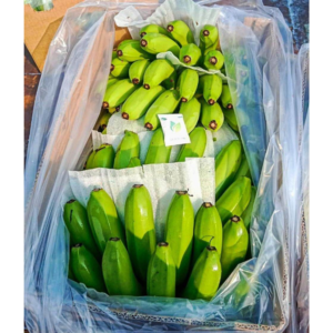 Fresh Cavendish Banana Tropical Fruit Export Quality Bulk Wholesale Manufacturer Supplier africa