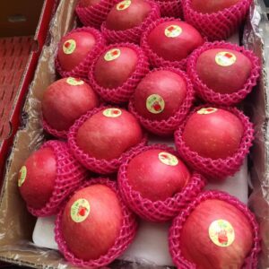 new crop good quality new fresh Apple with Fresh Apples From fuji apple Gardens for export