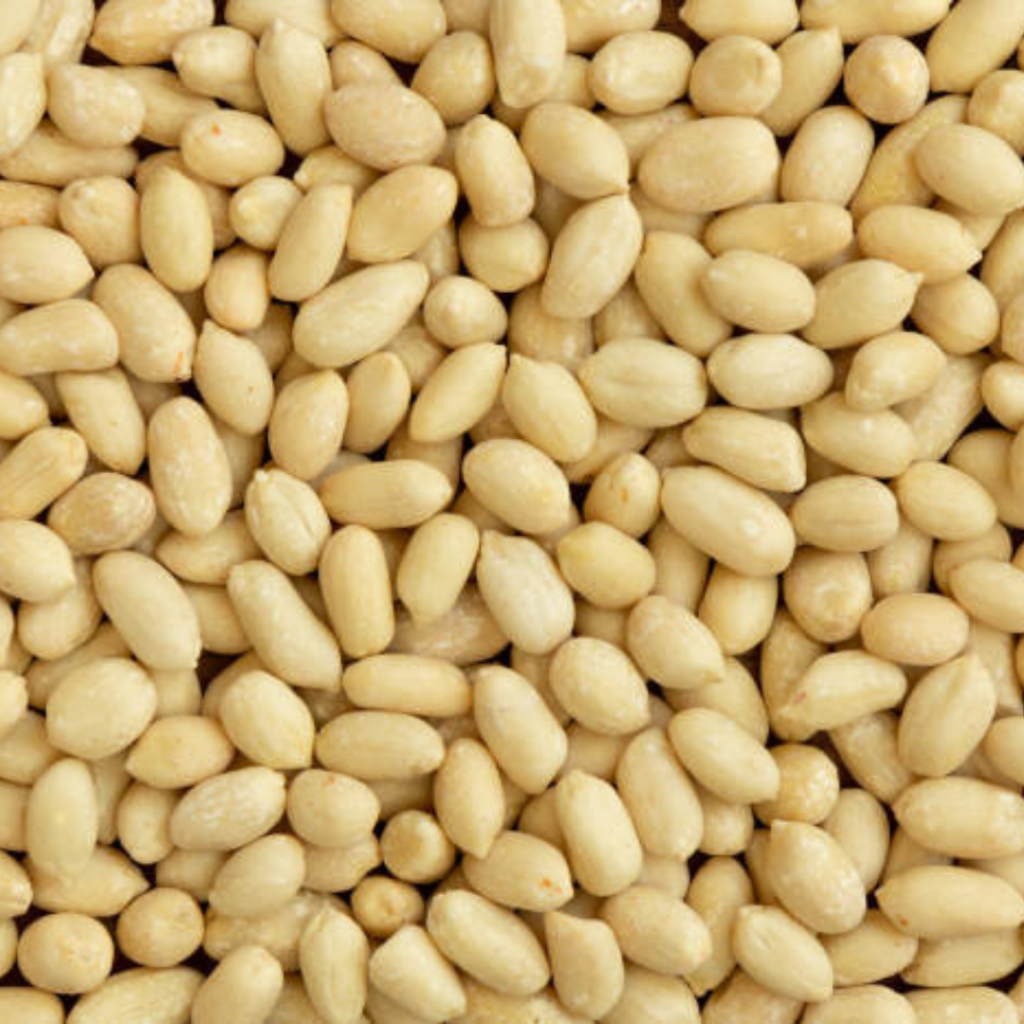 Wholesale Natural Organic Top Grade Blanched Peanuts Bulk Raw Peanut & Kernels Java 50/60 Peanut Kernels - Buy Peanuts