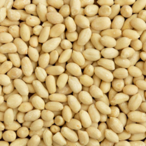 Wholesale Natural Organic Top Grade Blanched Peanuts Bulk Raw Peanut & Kernels Java 50/60 Peanut Kernels - Buy Peanuts
