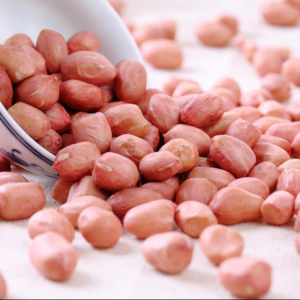 Premium Raw Dried Groundnut Peanuts 25 KG