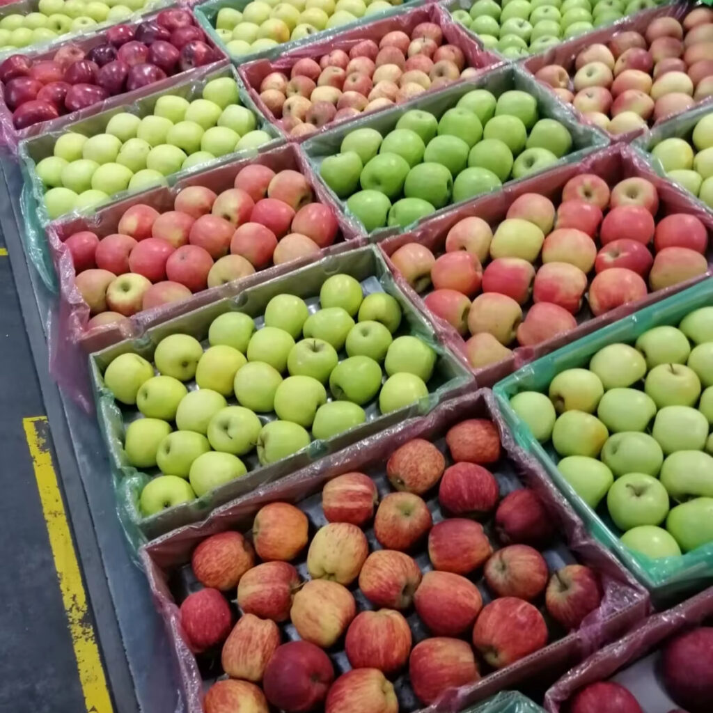 Organic Queen Apple Fresh Fuji and Gala Hybrid with Sweet Taste