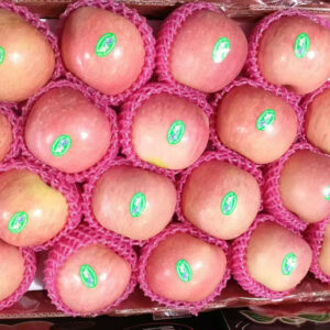 apple Fruit for Sale High Quality Fresh Red Fuji Delicious Apples with Competitive Price