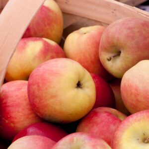 South African Organic Fresh Granny Smith Apples. Order Now