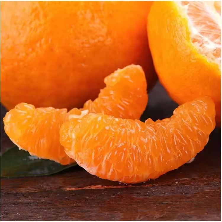 Bulk Premium Oranges Exceptionally Sweet Juicy No Pesticides Abundant Nutrition Direct From Sun - Kissed Orchards - Image 2