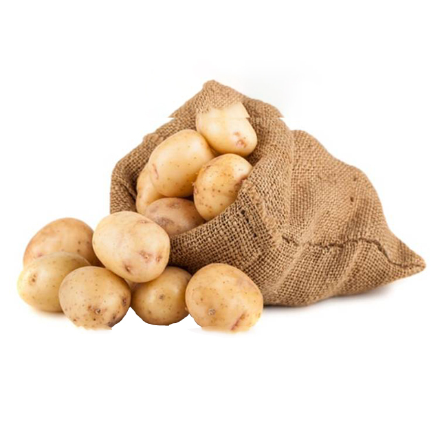 Wholesale Premium Fresh Potatoes from Africa - Image 3
