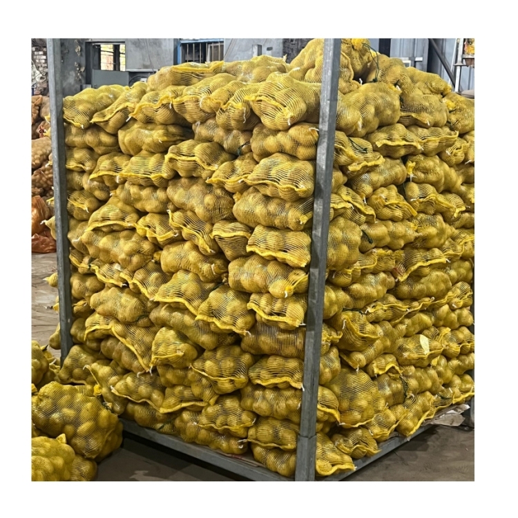 Wholesale New Season Yellow Potato Factory Cheap Price 85-150g 100-200g Holland Potato 10kg 20kg Packing - Image 2