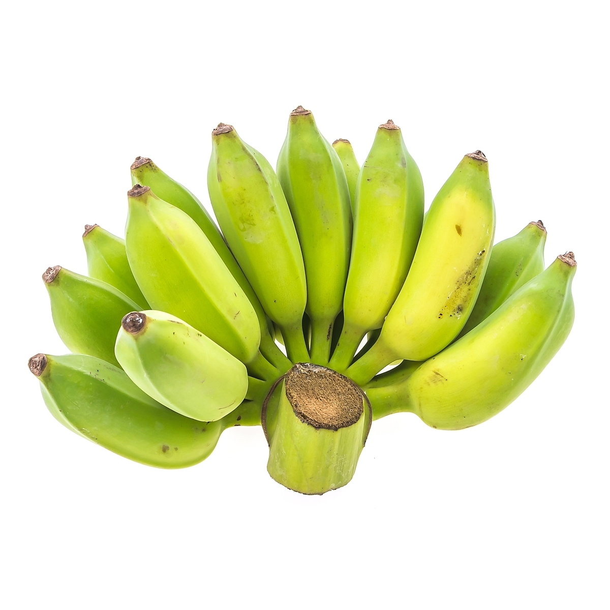 Best 100% High Quality Green Banana Fresh Cavendish Banana Cheap Prices for Hot Sales - Image 2