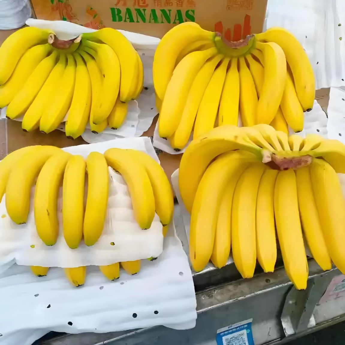 Premium Organic Cavendish Banana - Fresh Wholesale Export for Global Markets - Image 2
