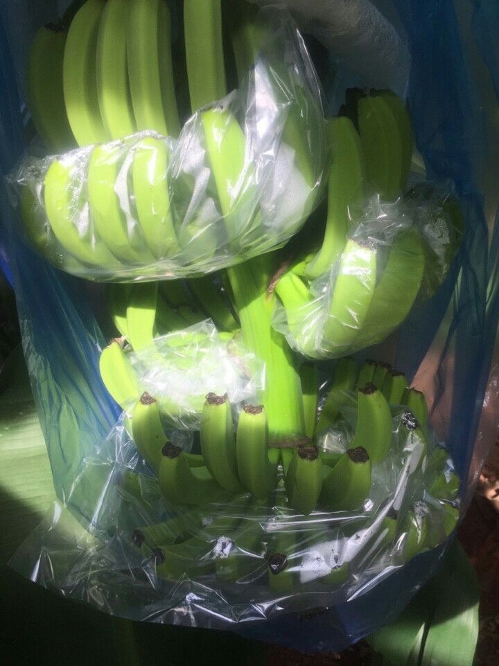 HIGH QUALITY CAVENDISH BANANA FROM AFRICA - Image 3