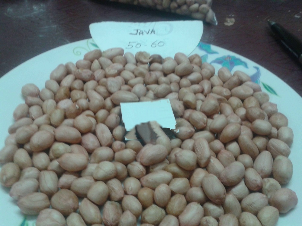 Peanut Kernel/raw peanuts Without Shell - Image 6