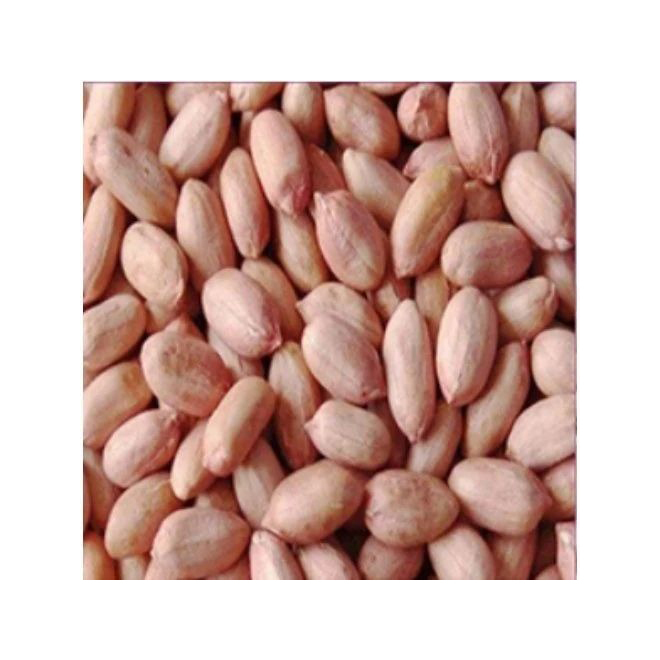 High Quality Organic Roasted Raw Java Peanuts Fresh Blanched Peanut Kernels Bold Organic Blanched Red Peanuts for Snacks - Image 3
