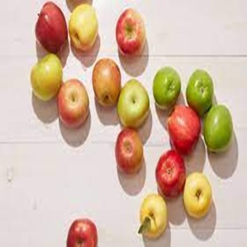 Customer Favorite Royal Gala Apples for Sale at Wholesale Prices - Image 5